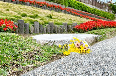 花葬|樹葬、花葬的好處在哪裡？ 不需墓地、造碑且零花。